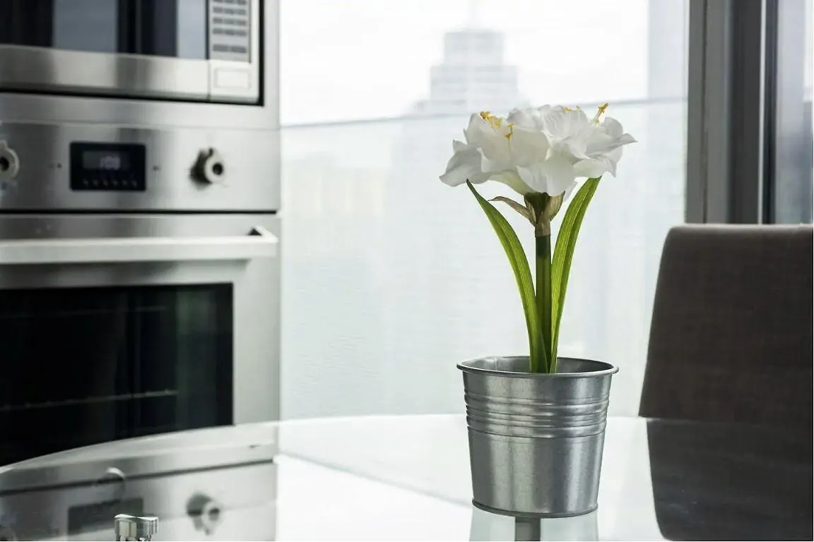 York Suites تورونتو 0*,